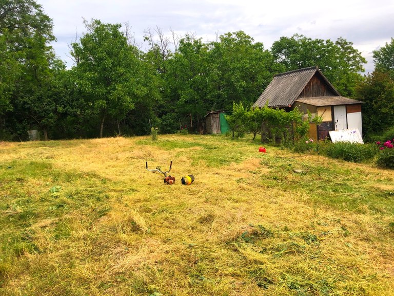 A telek tágas, füves része